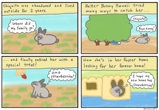 Foster Bunny Stories: Chiquita