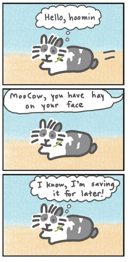 Moocow hay storage comic (published 9/8/2024)