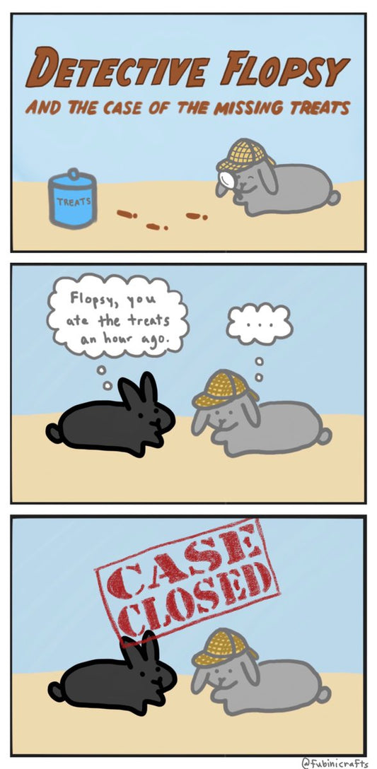 Redrawn original Detective Flopsy comic (published 9/22/2024)