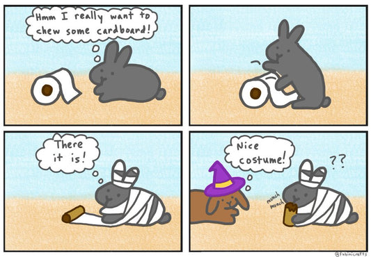 Mummy Bunny comic (published 10/31/2024)