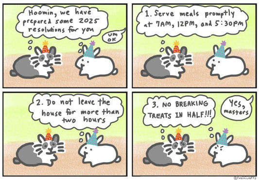 New Years Comic (published 1/1/2025)