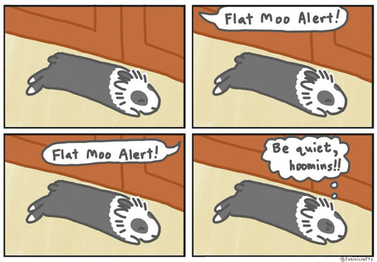 Flat Moo Alert Comic (published 1/9/2025)