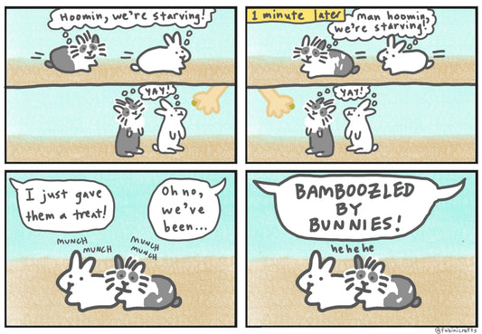 Bamboozled by bunnies comic (published 2/9/2025)