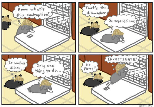Detective Flopsy and the Mysterious Contraption
