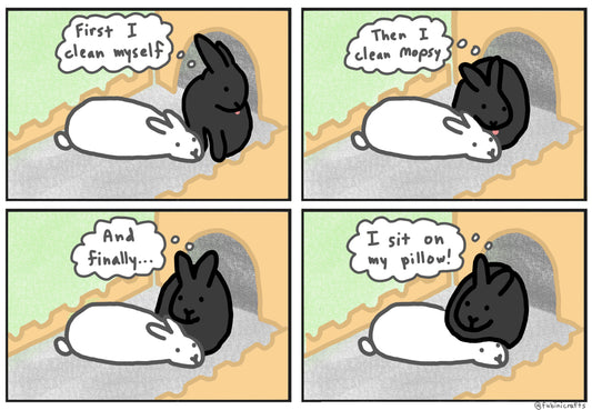 Benjamin’s Routine Comic