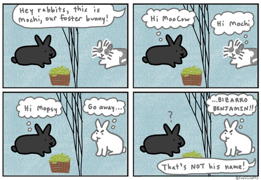 MooCow and Mopsy meet Mochi
