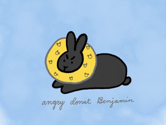 Angry Donut Benjamin (published 8/6/2022)