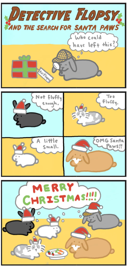 Detective Flopsy and the Search for Santa Paws (published 12/17/2022)