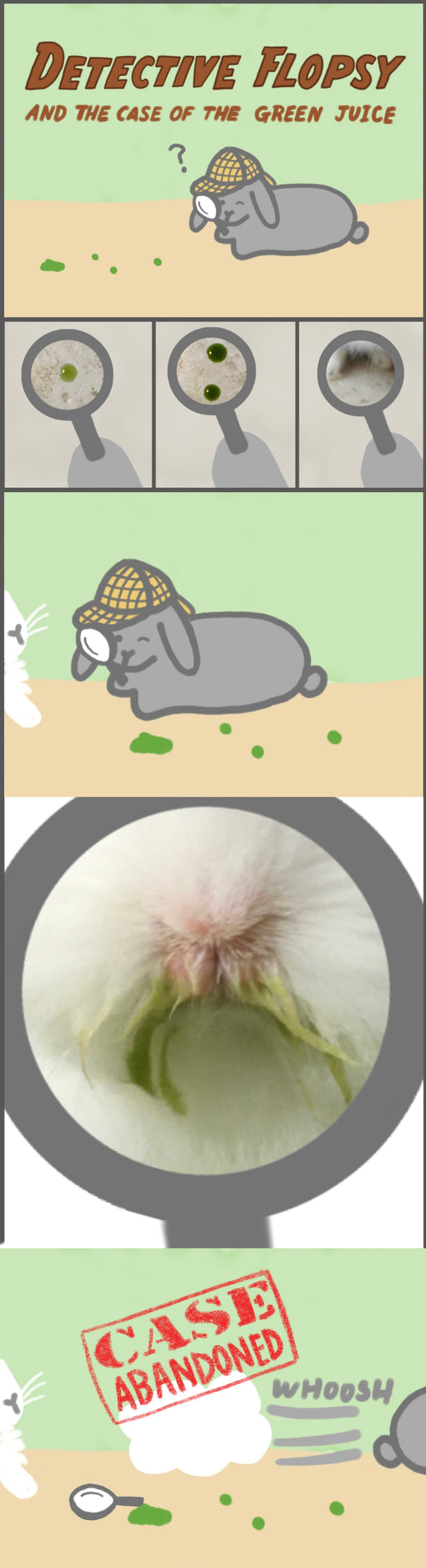 Detective Flopsy and the case of the green juice (published 7/16/2022)