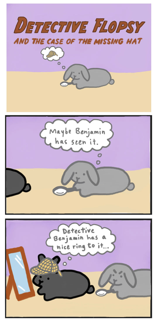 Detective Flopsy and the Case of the Missing Hat Part 1 Comic (published 10/8/2022)