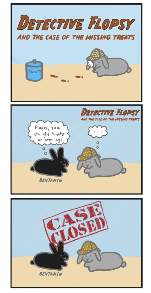 Detective Flopsy and the case of the missing treats Comic (published 6/26/2022)