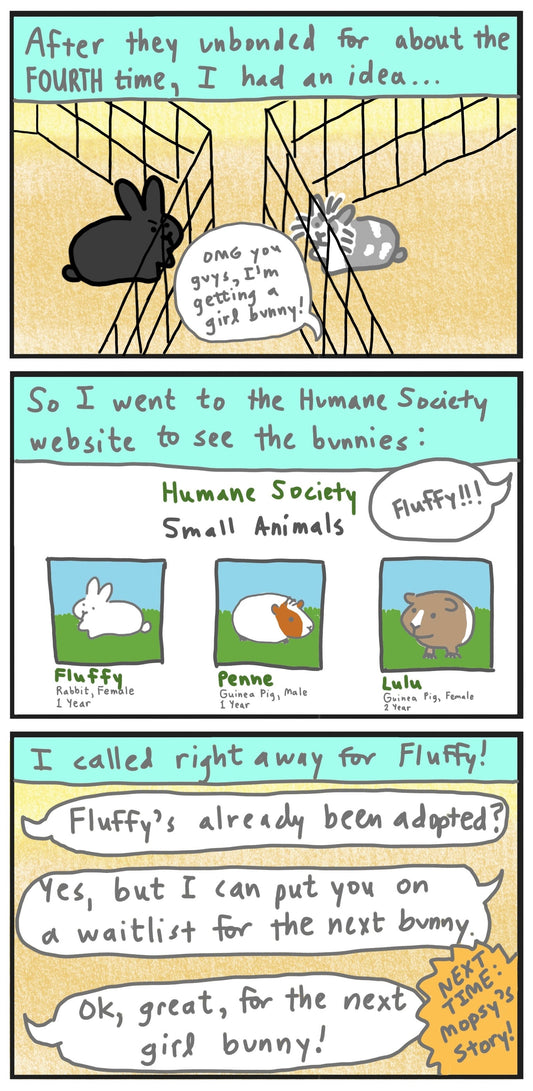 Moocow's story part 7: fluffy comic (published 10/7/2023)