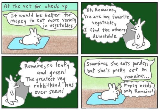 Mopsy's ode to romaine comic (published 6/22/2024)