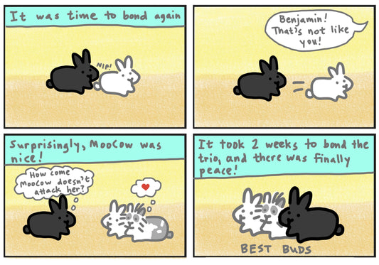 Mopsy's story part 2: trio bonding comic (published 10/22/2023)