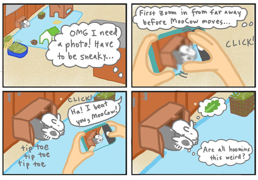 Rabbit photo comic 2 (published 6/30/2024)