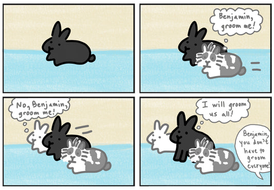 Trio Shenanigans Comic (published 11/5/2023)