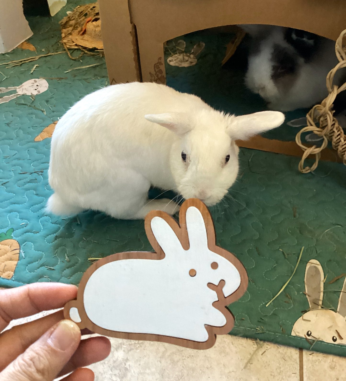 Custom Big Bunny Magnet (One)