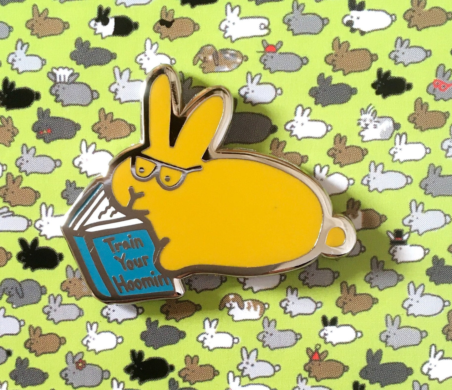Book Bunny Pin (How to Train Your Hoomin)