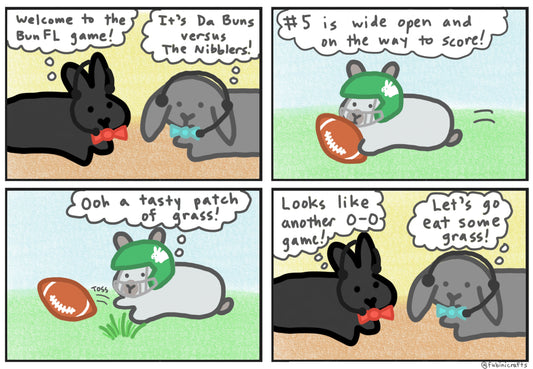 Football Bunny Comic