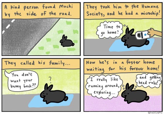 Foster Bunny Stories: Mochi