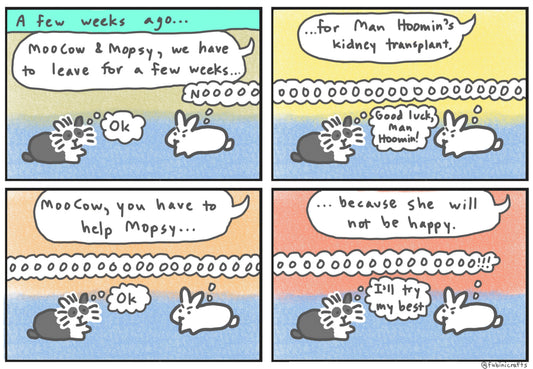 Mopsy not happy about hoomins leaving comic