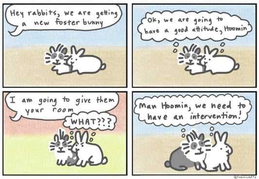 Comic: Telling MooCow & Mopsy about new foster rabbit