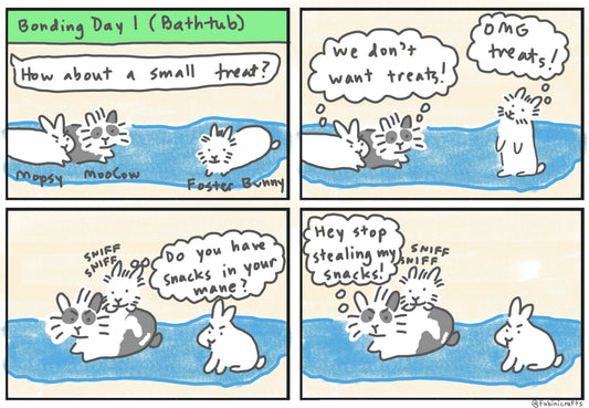 Rabbit Bonding Comic Part 1