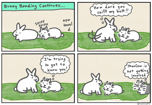 Bunny Bonding Comic Part 3