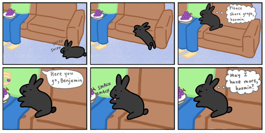 Benjamin and grapes comic (published 4/6/2024)