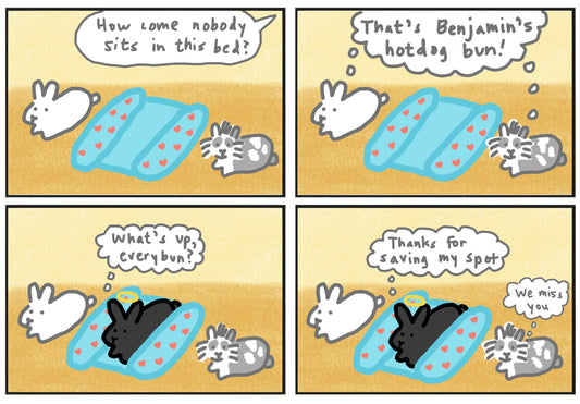 Benjamin in his bed comic (published 7/14/2023)