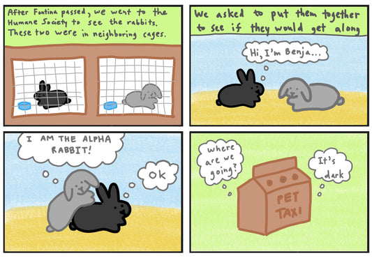Benjamin's Story Part 1 Comic Published 3/31/2023