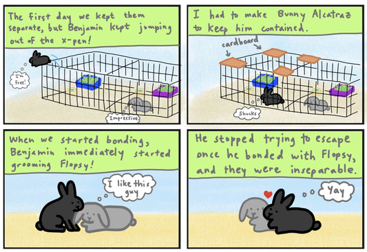 Benjamin's Story Part 2 (published 4/8/2023)