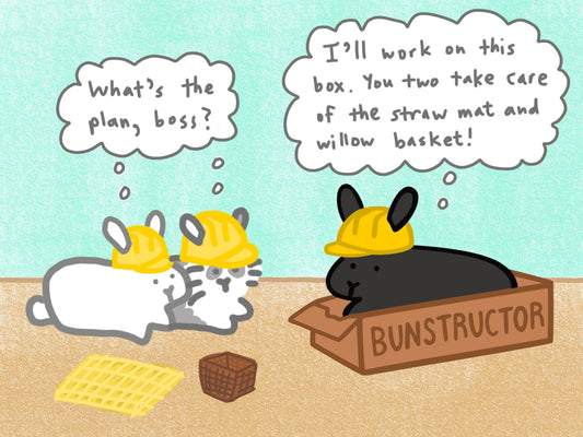 Bunstructor Comic (published 5/13/2023)