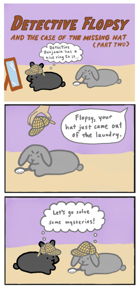 Detective Flopsy and the Case of the Missing Hat Part 2 Comic (published 10/22/2022)