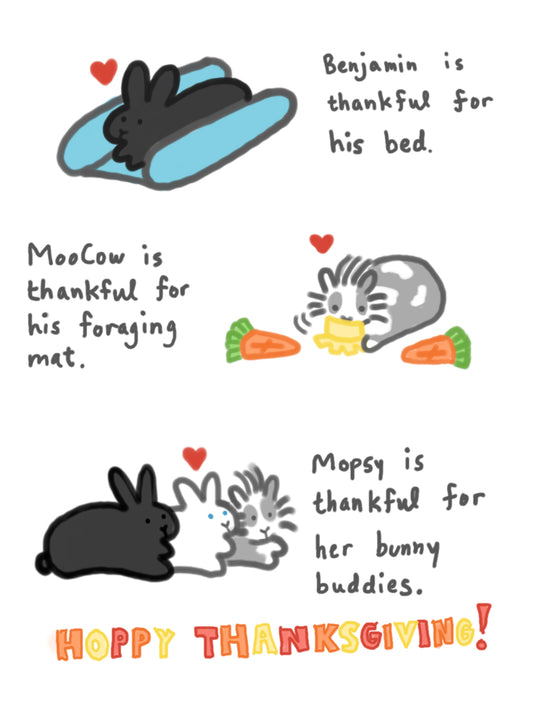 My First Bunny Comic - Thanksgiving comic (published 11/25/2021)