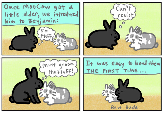 Moocow's story part 2 buddies comic (published 9/2/2023)