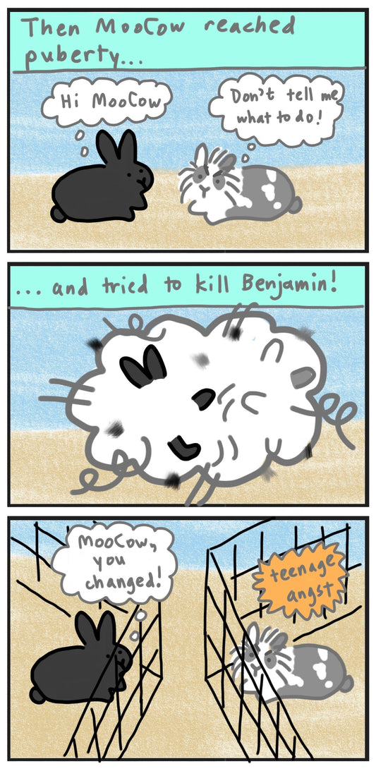 Moocow's story part 3 puberty comic (published 9/9/2023)