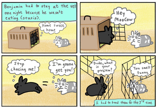 Moocow's story part 6 bond broken comic (published 10/1/2023)