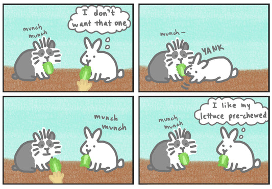 Mopsy prefers prechewed lettuce comic (published 5/5/2024)