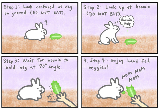 Mopsy's Guide for Hand Fed Lettuce Comic (published 6/9/2023)