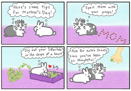 Mother's Day Comic (published 5/11/2024)