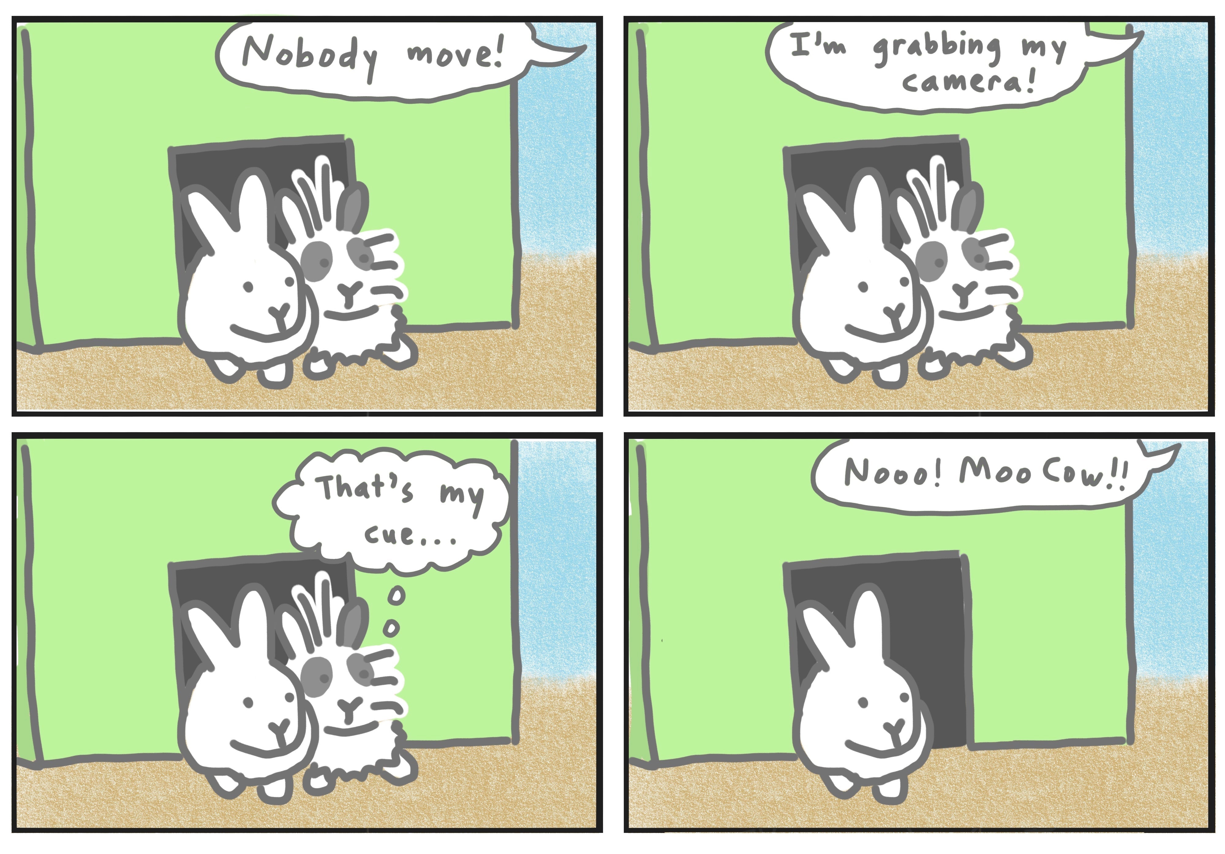 Rabbit photo comic 1 (published 6/8/2024) – Fubini Crafts