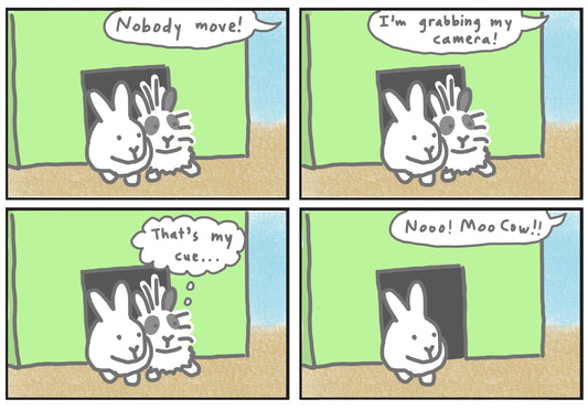 Rabbit photo comic 1 (published 6/8/2024)