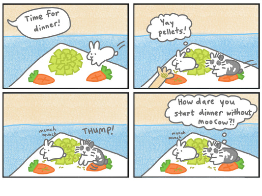 Rabbits foraging mat comic (published 2/4/2024)