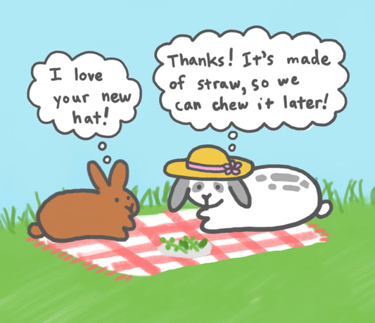 Sunhat Bunny Comic (published 5/15/2022)