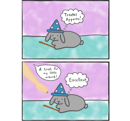 Wizard Bunny Comic (published 6/4/2022)