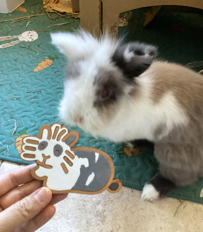 Custom Big Bunny Magnet (One)