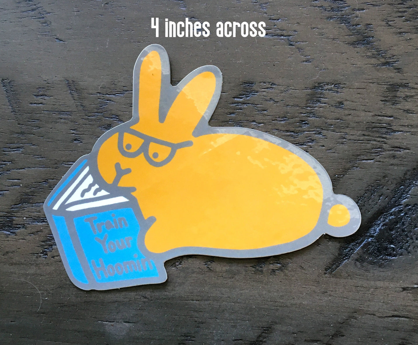 Book Bunny 4” Sticker (Train Your Hoomin)